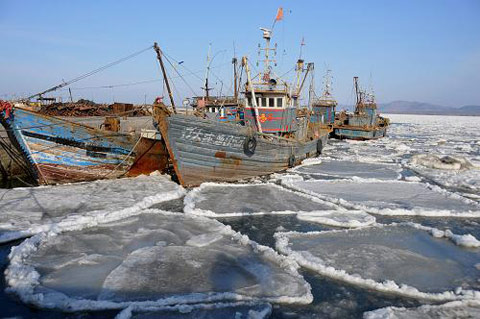 山东海冰覆盖面积创十年同期最大值