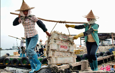  白马井渔港码头位于海南岛西北部是海南省重要渔港之一。渔家的男人和女人都离不开海，男人们出海捕捞，女人们则从事渔产品销售和岸上服务。所以在码头上、渔档前见到的大都是渔女。 中国网图片库 梁家先 摄影 