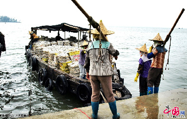 渔女集聚在码头翘首以待，等待自家渔船落帆靠岸，满载而归。中国网图片库 梁家先 摄影