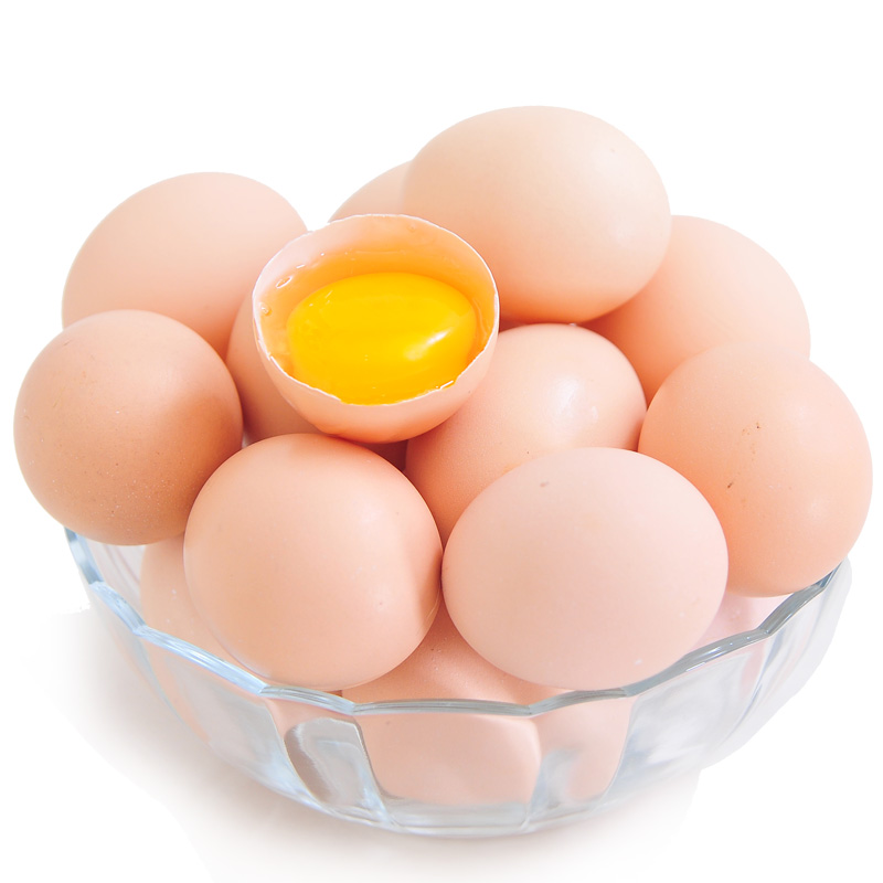 德国有机鸡蛋涉“造假” 百余农场遭调查 德国有机鸡蛋涉“造假” 百余农场遭调查