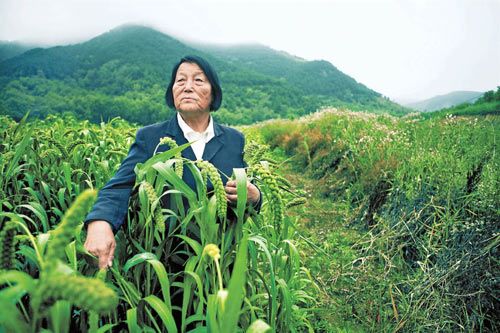 申纪兰:为农民说话 与世纪同行