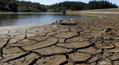 新西兰北岛遭遇严重干旱 