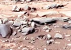 视频: 鸟类或不明生物在火星上