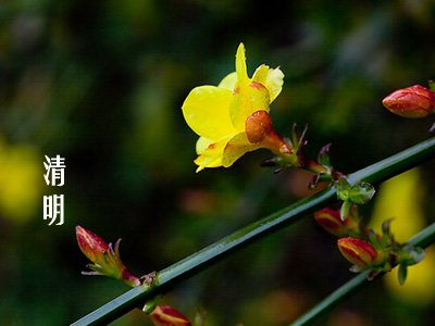 怎么下载清明节上坟的图片 001aa0ba776e12bc9b563a.jpg