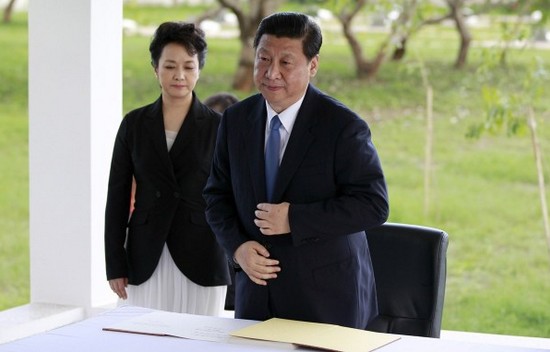 习近平结束国事访问后回京