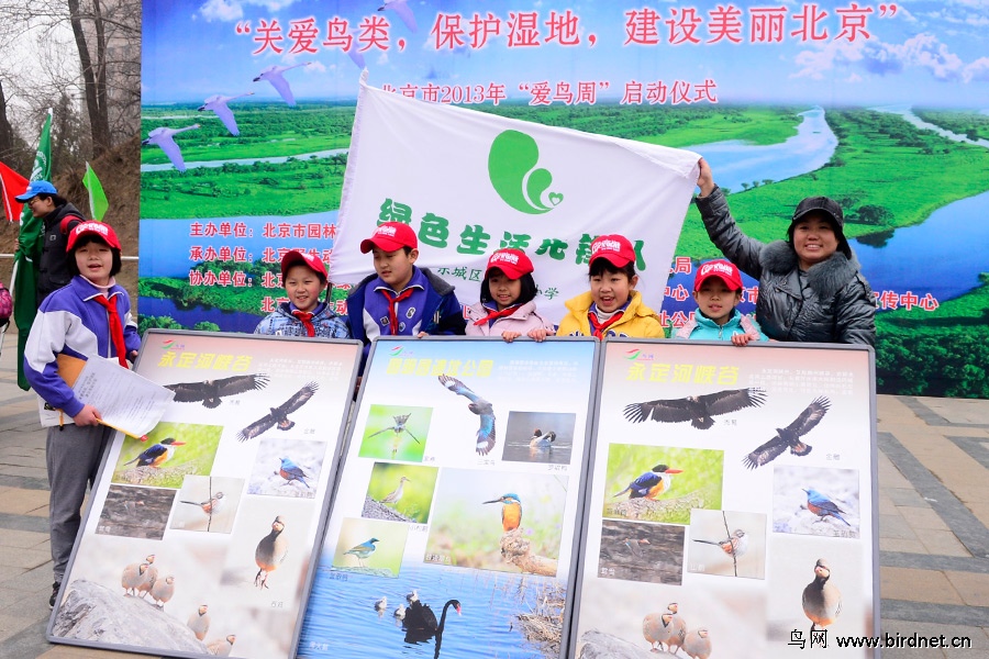 北京第31届爱鸟周:保护湿地 关爱鸟类