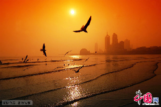 青岛风光。中国网图片库 王海滨 摄