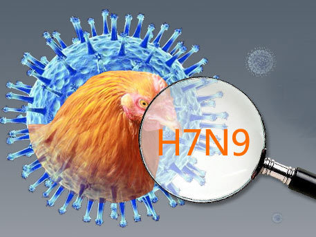 我国科学家率先揭示H7N9流感病毒来源