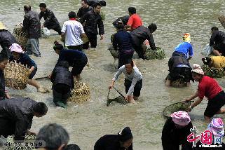 贵州台江苗族姊妹节捉鱼抓鸭比赛。中国网图片库 彭年 摄