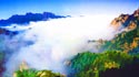 一不小心爱上了雾灵山