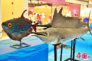   4月28日，国宝级“海洋珍品展”在广州西城都荟展出的海洋珍品。  中国网图片库 高殿华 摄影