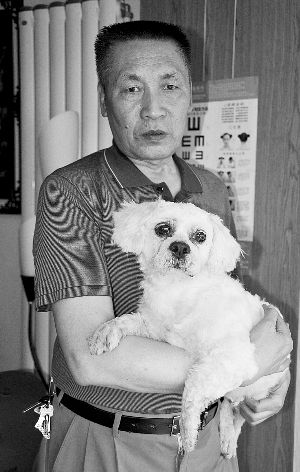 主人将狗送50公里之外朋友 狗历时1个月找回家