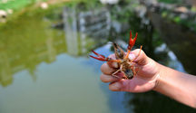 標題圖片