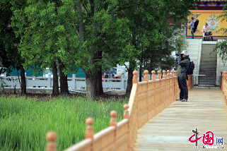 记者在拉鲁湿地采风。中国网记者 杨佳 摄