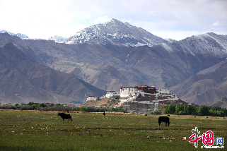5月18日,由中國西藏網舉辦的”中國攝影家四季看西藏-春季行”活動一行五名攝影家及六位記者來到了被譽為”拉薩之肺”的拉魯濕地國家自然保護區。圖為拉魯濕地遠眺布達拉宮。中國網記者 楊佳 攝