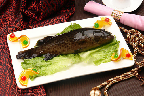 香港传统美食石斑鱼或将消失