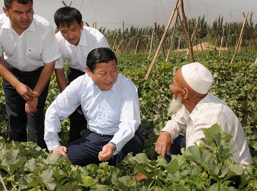 习近平在新疆调研