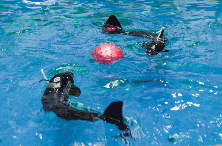 2013宁波国际水中机器人大赛 2013宁波国际水中机器人大赛