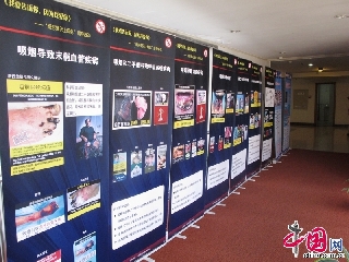 活动现场，摆放了各种宣传禁烟知识的展架。   中国网记者  裴希婷  摄影