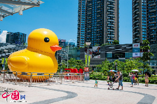 2013年5月30日，一只与香港维港的“大黄鸭”神似的小黄鸭出现在深圳南山宝能太古城，市民争相围观拍照。中国网图片库 邓飞 摄