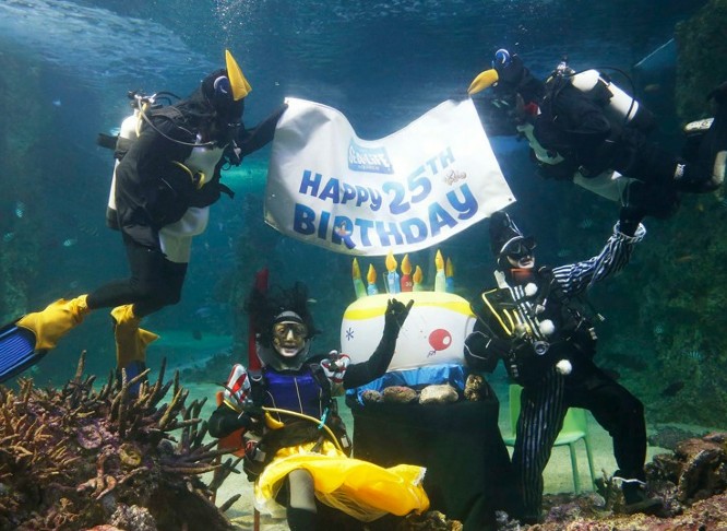 悉尼水族馆开水下派对