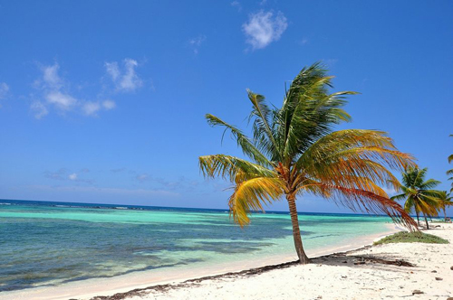 多米尼加放宽签证政策