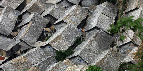 组图:张含韵粉红写真展青春魅图片