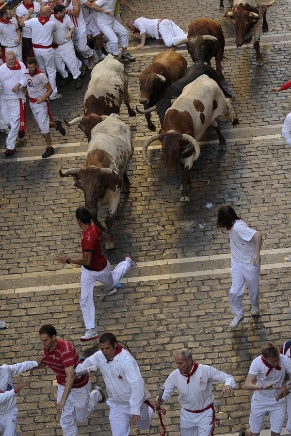 西班牙奔牛重伤澳大利亚女游客
