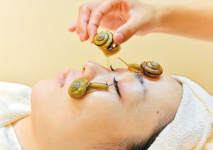 日本商家推出蜗牛美容法 可治疗晒伤