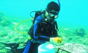 海洋研究所:科学拯救南海岛礁