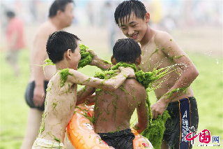 2013年7月18日，男孩们在青岛海滩玩浒苔大战游戏。  中国网图片库  王海滨 摄影