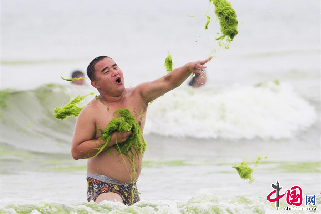 2013年7月18日，青島，滸苔大戰中，一位遊客用滸苔還擊對方。  中國網圖片庫 王海濱 攝影