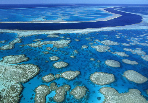 资料图:澳大利亚大堡礁