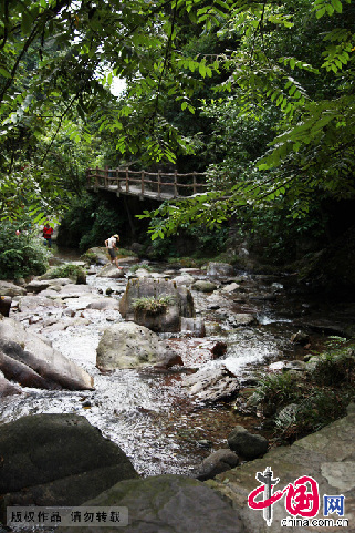 贵州旅游第一沟——梵净山亚木沟。 中国网记者 杨楠 摄