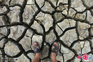 8月1日，贵州紫云自治县干枯见底的水库。中国网图片库 卢维/摄