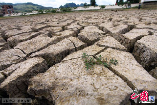 8月1日，贵州紫云自治县干枯见底的水库。中国网图片库 卢维/摄
