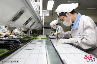 江苏一家太阳能电池出口企业的工人在车间内组装太阳能电池板。 中国网图片库 司伟 摄影