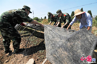 连日来，浙江省台州市遭遇持续高温干旱天气，对农作物造成严重影响。台州边防支队积极组织官兵深入辖区田间地头，帮助群众做好各项抗旱救灾工作，携手群众共度难关。图为2013年8月11日，台州椒江农场，边防官兵帮助群众给蔬菜秧苗加盖防晒网。中国网图片库 郏策摄影