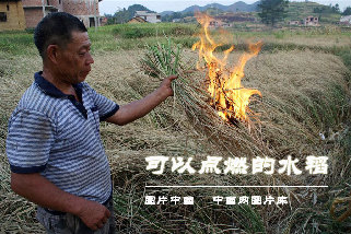 截至8月13日，干旱已致湖南306万多人、103万多头大牲畜出现饮水困难，2010万亩农作物受旱，3557条溪河断流，2549座小型水库、41.9万处山塘干涸。 中国网图片库 张扬摄