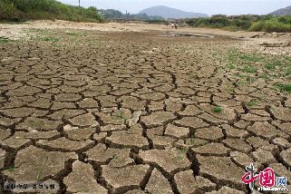 2013年8月14日，湖南省娄底涟源市桥头河镇石狗一口龟裂的山塘。 中国网图片库 张扬摄