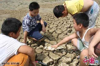 2013年8月14日，湖南省娄底涟源市桥头河镇石狗一山塘完全干涸龟裂，孩子们围着被渴死的鱼。中国网图片库 张扬摄