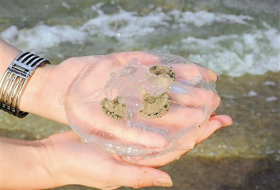 浴场预防海蜇蜇伤有哪些小贴士