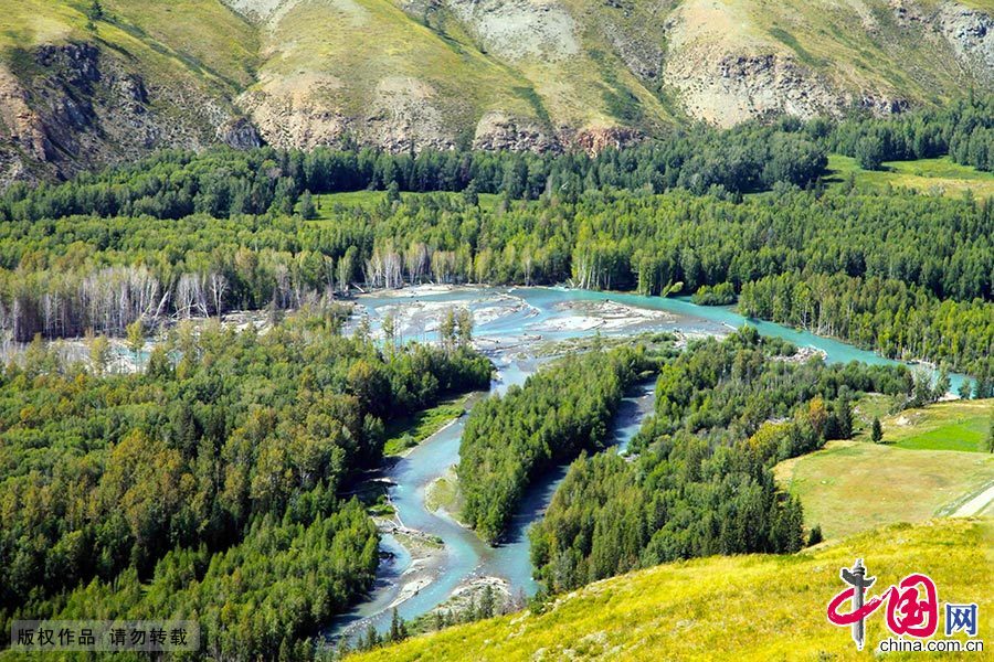 河心洲處令人心醉的河水與美麗的白樺林。 中國網圖片庫 孫繼虎/攝