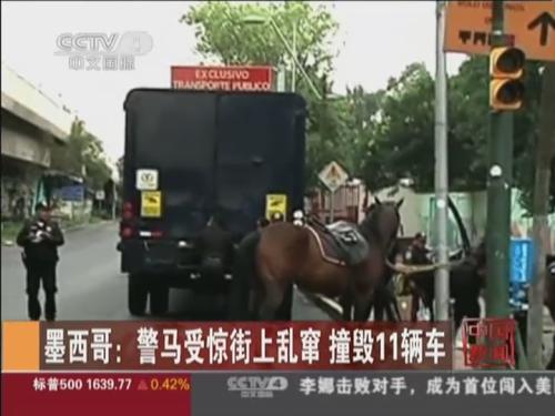 墨西哥：警马受惊街上乱窜 撞毁11辆车
