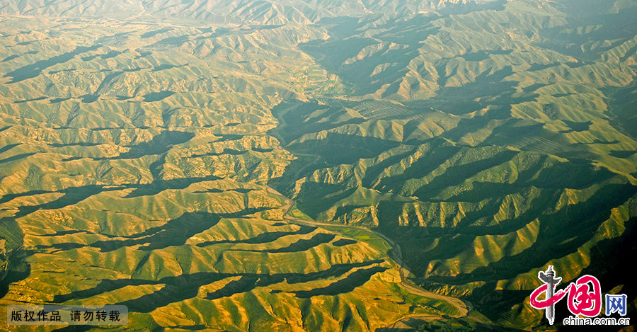 內蒙古呼倫貝爾境內大興安嶺航拍一景。 中國網圖片庫 王偉/攝