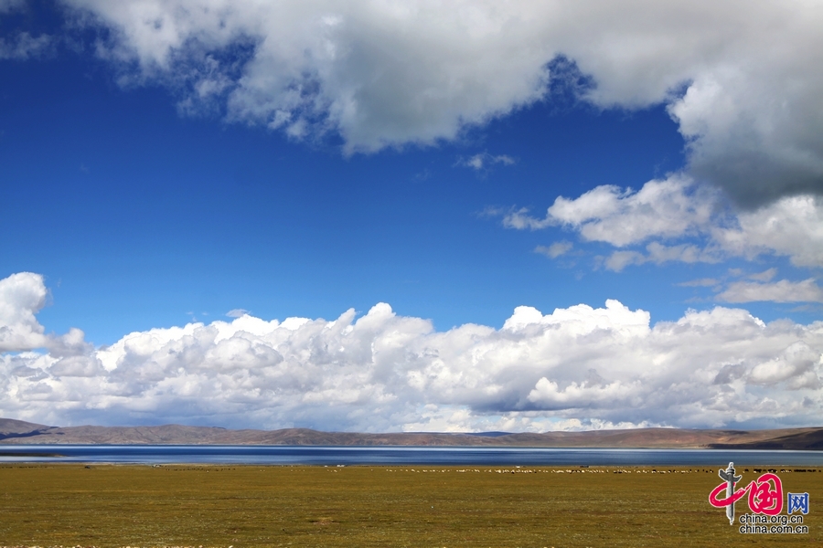多彩西藏夏季行：从美丽圣湖到青藏高原腹地[组图]