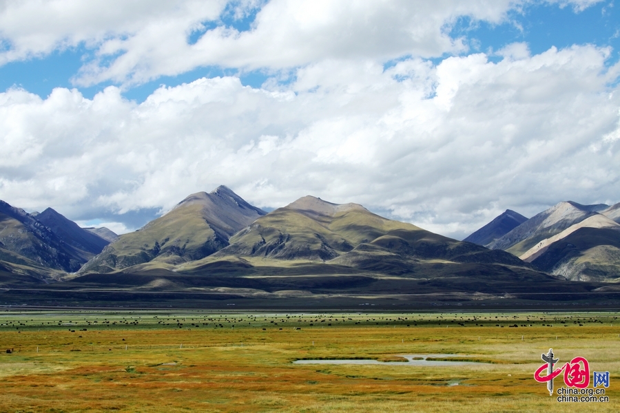 多彩西藏夏季行：从美丽圣湖到青藏高原腹地[组图]
