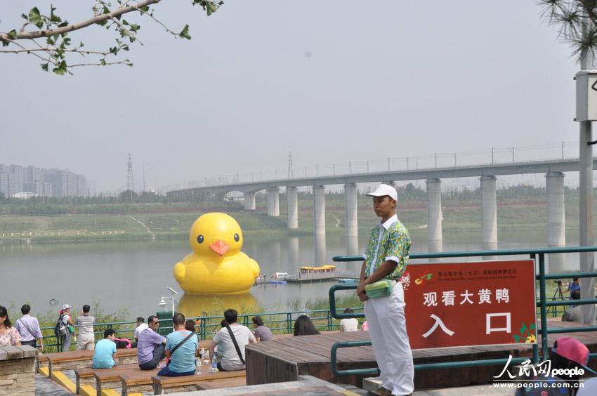 北京大黄鸭拼接错误变尖嘴鸡 已连夜修复