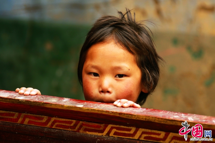 图为楠木临县藏族家庭的孩子 中国网记者 宗超 摄影