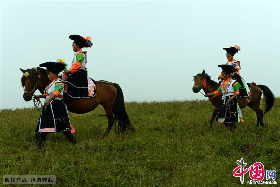 高坡草場上的苗族婦女。中國網圖片庫 彭年/攝